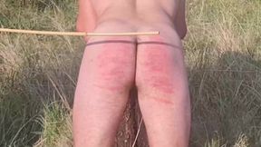 Spanking Stories 367