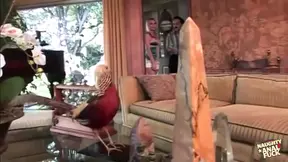 Cheating hubby pounds busty blonde's ass in outdoor anal session