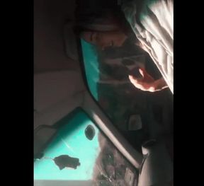 I suck horny cock in the car