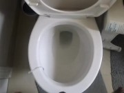Piss Compilation (One Day of Piss)