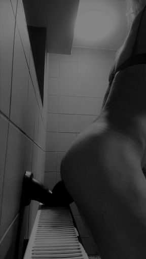 Hot trans ladyboy anal sex