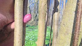 Relaxed Sunday in the forest