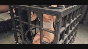 Iron cage electric shock imprisonment