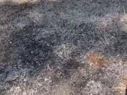 Car park risky wank