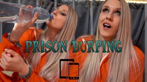 Prisoner burping ( Mobile&Tablet version )