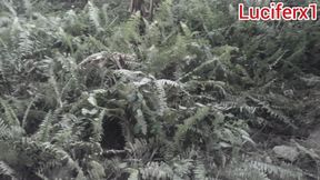 BBC in a forest sides