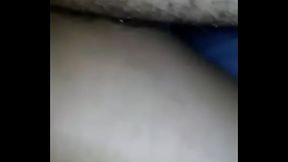 cadela com macho em campinas