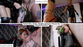 My Maso Resists? I Break Him! Nettles, Barbed Wire & Impact Play - Mistress Julia