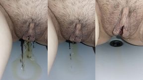 troia piscia nel bide