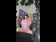 Zorra enseña su tangam