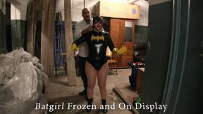Batgirl Frozen solid and on display 04