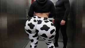Big Ass Stepbrother in Cow Print Leggings Teasing Me