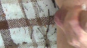 Sexy CD LC cumpilation