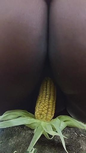 Hot Evangelical From the Countryside with a Big, Greedy Pussy Squirting on the Corn Cob