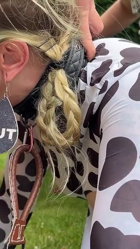 Creampie Cow Gangbang