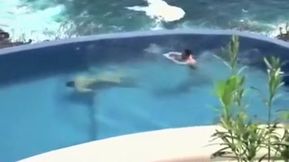 Lovers on vacation in paradise