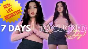From Husband to Humiliated: 7 Days to Cuckold Day 1