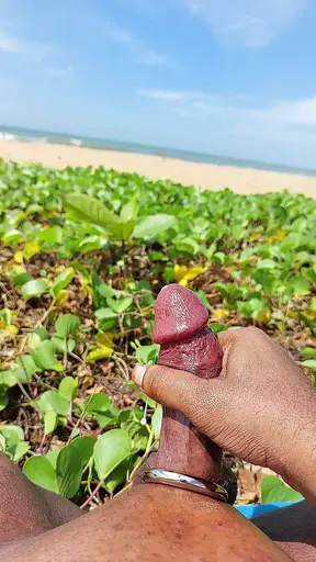 Cut Cock cumshot at beach oil massage Sinhala boy with cock ring srilanka