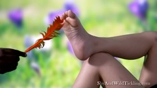 Ticklish Objects Pt1 - Feet - Krissy Koven