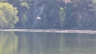 BREASTFEEDING MY HUNGRY BOY-OUTSIDE PUBLIC BREASTFEEDING
