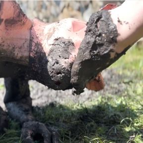 Lick all the sludge and dirt from Our feet