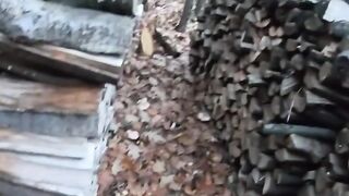 Outdoor Sex Adventure - Older Woman Fucks barely legal Guy in Public