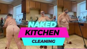 Naked kitchen cleaning