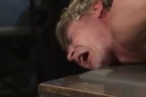 Master Wolf Hudson bound