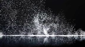 Alina Takes Her Wager to the Next Level