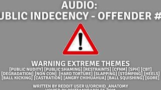 *WARNING INTENSE THEMES* Audio: Outdoors Indecency - Offender #1