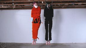 Roommates Hang in Straight Jackets