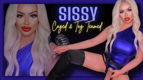 Closet Sissy, gets Caged & Tag Teamed With My Trans BFF (1080 MP4)