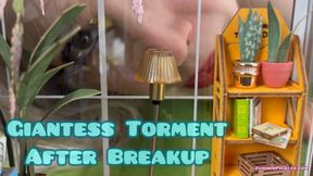 Ex Girlfriend Torments you after Breakup