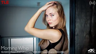 Luise uses a whip handle to pleasure her pussy in fishnet bodysuit