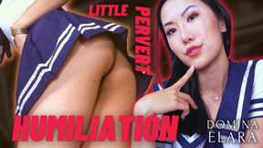 Little Pervert Humiliation