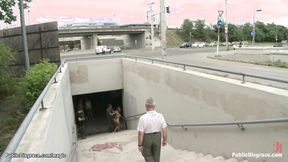 ”Natural big boobed Romanian assfucking public sex”