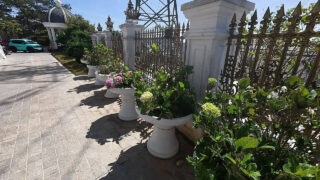 Casal gostoso penetra com força a bunda apertada dela