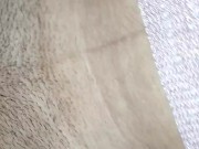 Cojiendo Rico a mi secretaria putita