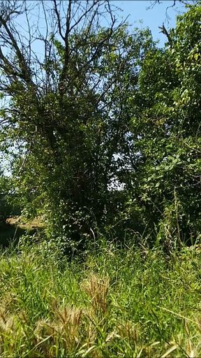 I show off along a road. It excites me so much that I jerk off until I have a big ejaculation   Clip 1