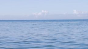 ”Vicky Chase & Teanna Trump's Orgasmic Tape from VIXEN”