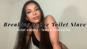 Breaking in the Toilet Slave