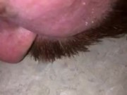 Jerking Off in the bathroom, I jizzed a huge cumshot onto the counter top and licked it all up.
