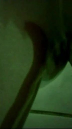 Trailer 336