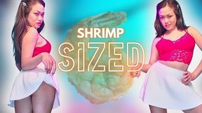 Shrimp Sized: ThePrincessLuxy takes one look at your pathetic little situation and tells you everything you already knew with SPH, cuckold POV, and Erectile Dysfunction Mockery
