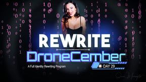 Day 29: System Rewrite