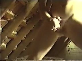 Best male in best bisexual, vintage gay adult movie