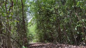 I Get so Horny Walking in the Woods Naked with My Dick Locked and Then Get Home and Destroy My Hole