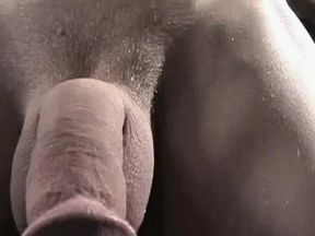 There He Blows