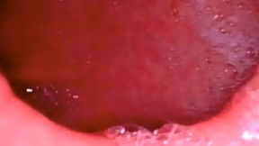 Empty Stomach Full Stomach - Digestion of meat in fullscreen 1080HD