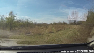 Exciting Teen Seduced for Sex in a Taxi